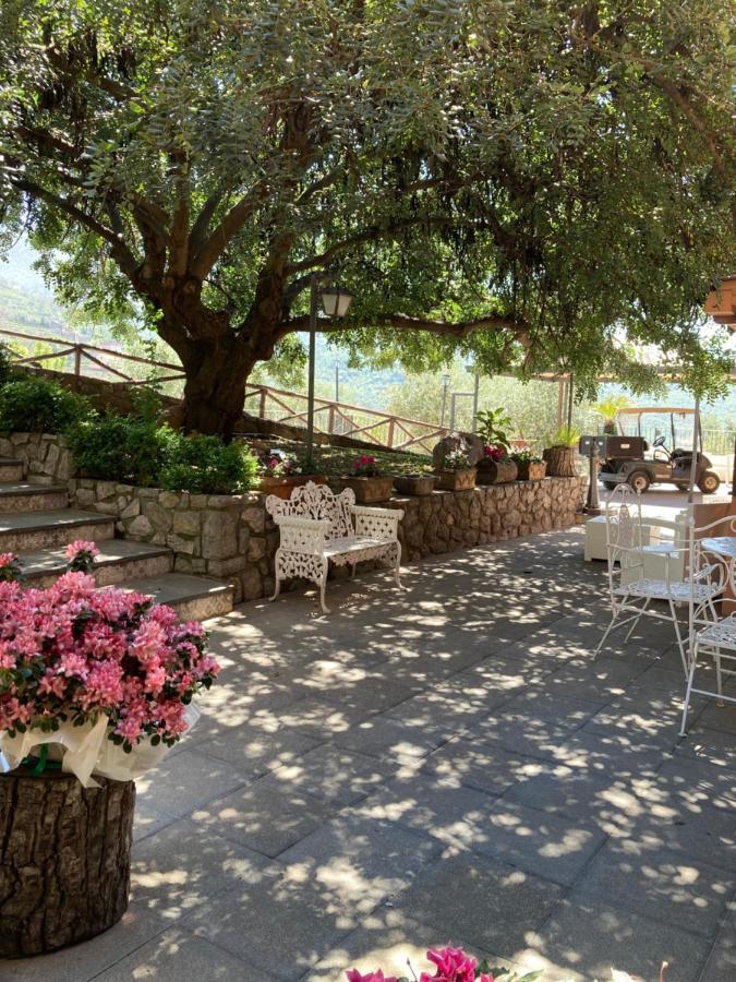 Agriturismo Nonno Luigino Vico Equense Luaran gambar