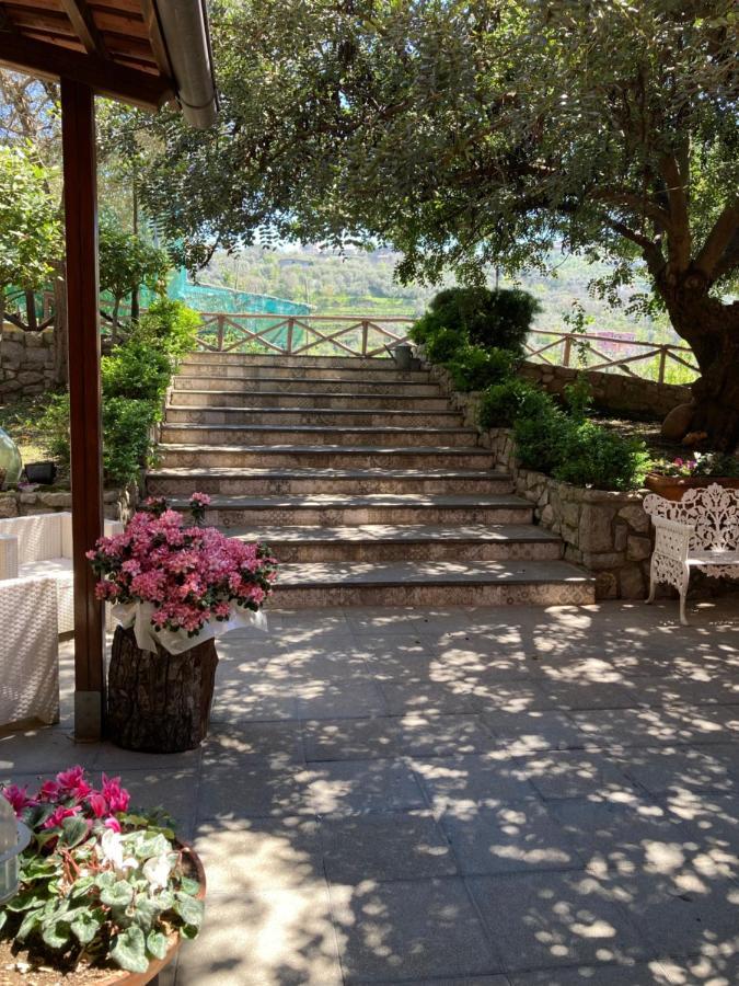 Agriturismo Nonno Luigino Vico Equense Luaran gambar